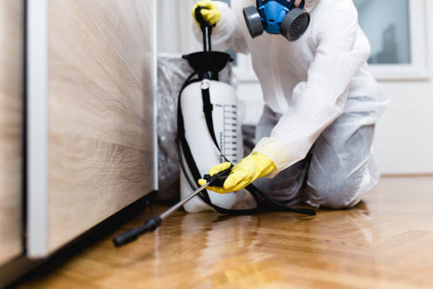 Best Residential Pest Control  in Oswego, IL