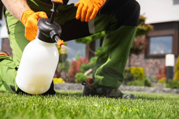 Best Best Pest Control Companies  in Oswego, IL