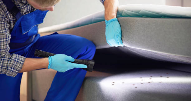 Best Commercial Pest Control Services  in Oswego, IL