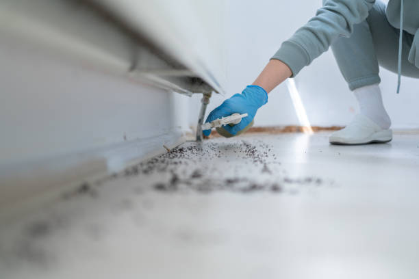 Professional Pest Control in Oswego, IL