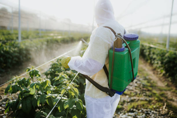 Flea Control Services in Oswego, IL